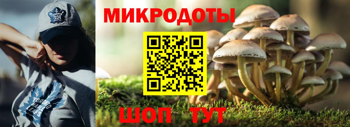 Галлюциногенные грибы MAGIC MUSHROOMS Димитровград